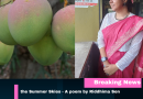 Riddhima Sen’s enchanting writeup of Summer